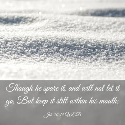 Picture 03 - Job 20:13 WEB - Though he spare it, and will not let it go, But - Bible Verse Picture