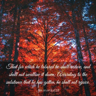 Picture 03 - Job 20:18 WEB - That for which he labored he shall restore, and - Bible Verse Picture