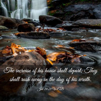 Picture 03 - Job 20:28 WEB - The increase of his house shall depart; They - Bible Verse Picture