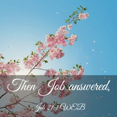 Picture 03 - Job 21:1 WEB - Then Job - Bible Verse Picture