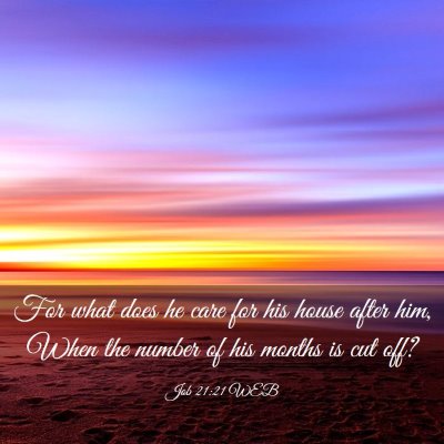 Picture 03 - Job 21:21 WEB - For what does he care for his house after him, - Bible Verse Picture