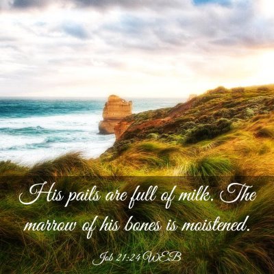 Picture 03 - Job 21:24 WEB - His pails are full of milk. The marrow of his - Bible Verse Picture