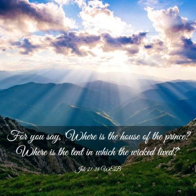 Picture 03 - Job 21:28 WEB - For you say, 'Where is the house of the prince? - Bible Verse Picture