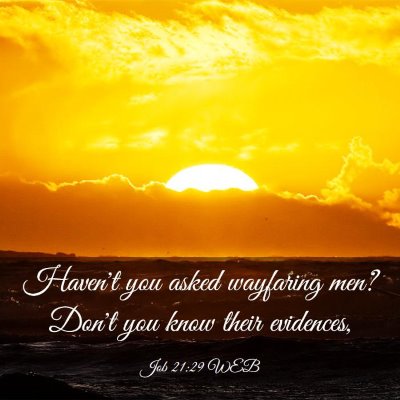 Picture 03 - Job 21:29 WEB - Haven't you asked wayfaring men? Don't you know - Bible Verse Picture