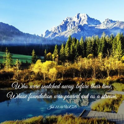 Picture 03 - Job 22:16 WEB - Who were snatched away before their time, Whose - Bible Verse Picture