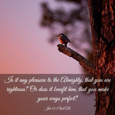 Picture 03 - Job 22:3 WEB - Is it any pleasure to the Almighty, that you are - Bible Verse Picture