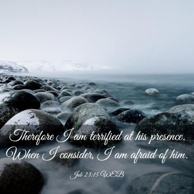 Picture 03 - Job 23:15 WEB - Therefore I am terrified at his presence. When I - Bible Verse Picture