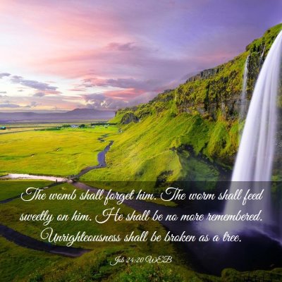 Picture 03 - Job 24:20 WEB - The womb shall forget him. The worm shall feed - Bible Verse Picture
