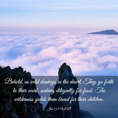 Picture 03 - Job 24:5 WEB - Behold, as wild donkeys in the desert, They go - Bible Verse Picture