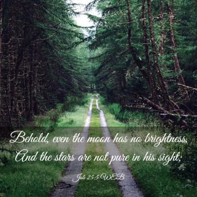 Picture 03 - Job 25:5 WEB - Behold, even the moon has no brightness, And the - Bible Verse Picture