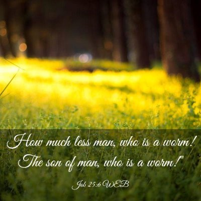 Picture 03 - Job 25:6 WEB - How much less man, who is a worm! The son of man, - Bible Verse Picture