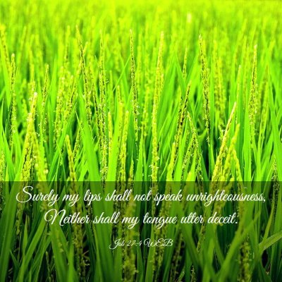 Picture 03 - Job 27:4 WEB - Surely my lips shall not speak unrighteousness, - Bible Verse Picture