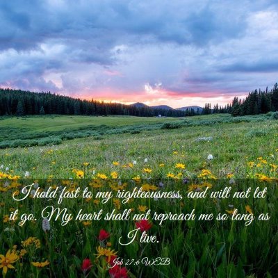 Picture 03 - Job 27:6 WEB - I hold fast to my righteousness, and will not let - Bible Verse Picture