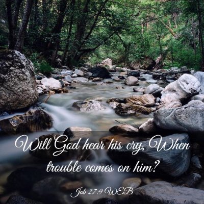 Picture 03 - Job 27:9 WEB - Will God hear his cry, When trouble comes on - Bible Verse Picture