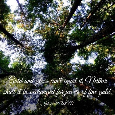 Picture 03 - Job 28:17 WEB - Gold and glass can't equal it, Neither shall it - Bible Verse Picture