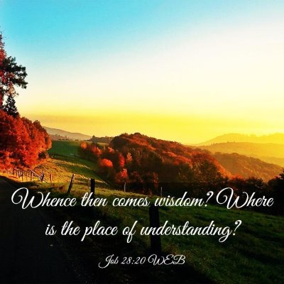 Picture 03 - Job 28:20 WEB - Whence then comes wisdom? Where is the place of - Bible Verse Picture