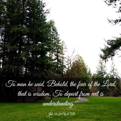Picture 03 - Job 28:28 WEB - To man he said, 'Behold, the fear of the Lord, - Bible Verse Picture