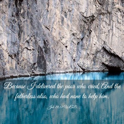 Picture 03 - Job 29:12 WEB - Because I delivered the poor who cried, And the - Bible Verse Picture