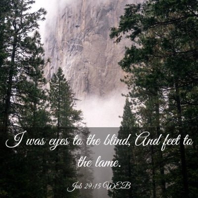 Picture 03 - Job 29:15 WEB - I was eyes to the blind, And feet to the - Bible Verse Picture