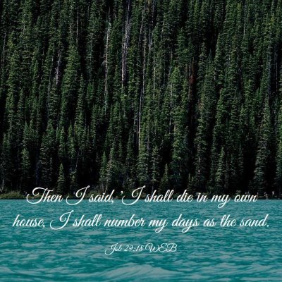 Picture 03 - Job 29:18 WEB - Then I said, 'I shall die in my own house, I - Bible Verse Picture