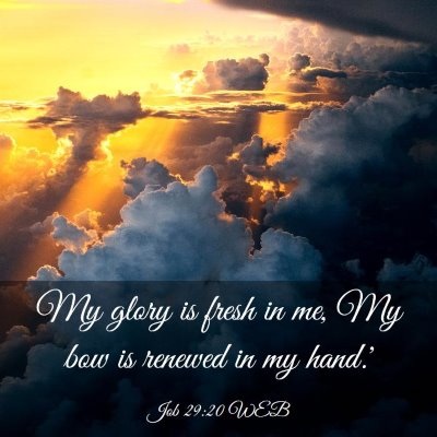 Picture 03 - Job 29:20 WEB - My glory is fresh in me, My bow is renewed in my - Bible Verse Picture