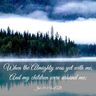 Picture 03 - Job 29:5 WEB - When the Almighty was yet with me, And my - Bible Verse Picture