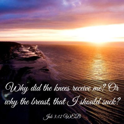 Picture 03 - Job 3:12 WEB - Why did the knees receive me? Or why the breast, - Bible Verse Picture