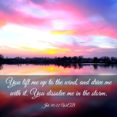Picture 03 - Job 30:22 WEB - You lift me up to the wind, and drive me with it. - Bible Verse Picture