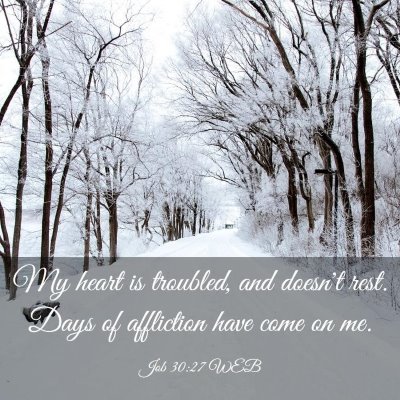Picture 03 - Job 30:27 WEB - My heart is troubled, and doesn't rest. Days of - Bible Verse Picture