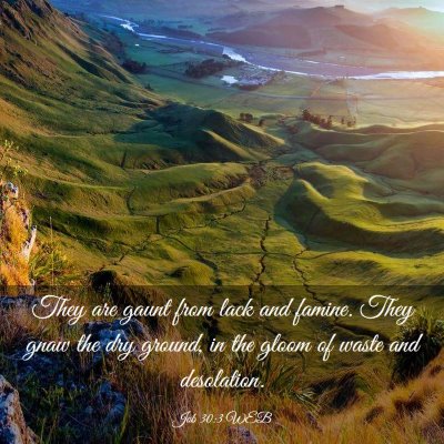 Picture 03 - Job 30:3 WEB - They are gaunt from lack and famine. They gnaw - Bible Verse Picture