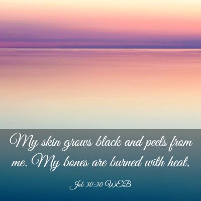 Picture 03 - Job 30:30 WEB - My skin grows black and peels from me. My bones - Bible Verse Picture