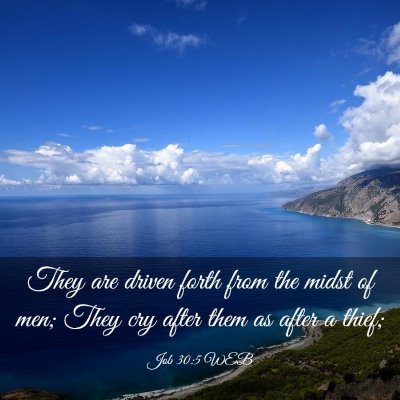 Picture 03 - Job 30:5 WEB - They are driven forth from the midst of men; They - Bible Verse Picture