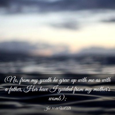 Picture 03 - Job 31:18 WEB - (No, from my youth he grew up with me as with a - Bible Verse Picture