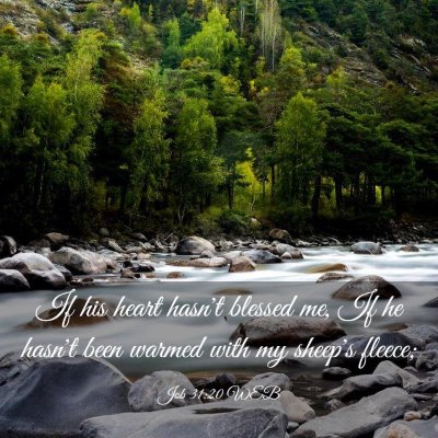 Picture 03 - Job 31:20 WEB - If his heart hasn't blessed me, If he hasn't been - Bible Verse Picture