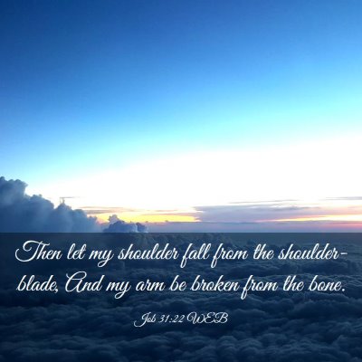 Picture 03 - Job 31:22 WEB - Then let my shoulder fall from the - Bible Verse Picture