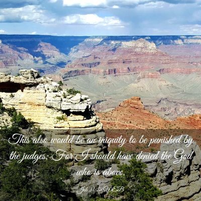 Picture 03 - Job 31:28 WEB - This also would be an iniquity to be punished by - Bible Verse Picture