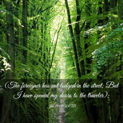 Picture 03 - Job 31:32 WEB - (The foreigner has not lodged in the street; But - Bible Verse Picture