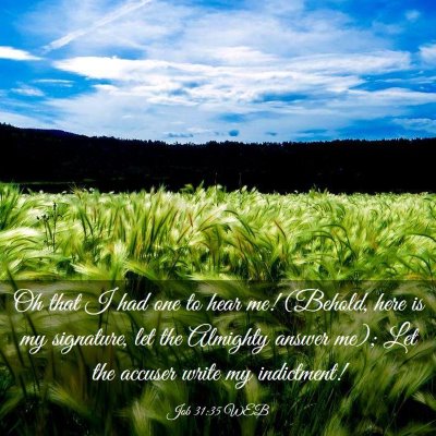 Picture 03 - Job 31:35 WEB - Oh that I had one to hear me! (Behold, here is my - Bible Verse Picture