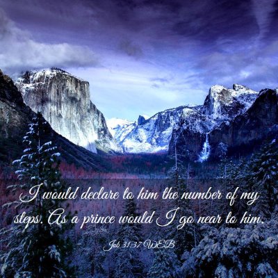 Picture 03 - Job 31:37 WEB - I would declare to him the number of my steps. As - Bible Verse Picture