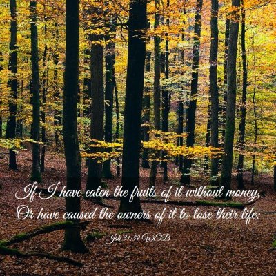 Picture 03 - Job 31:39 WEB - If I have eaten the fruits of it without money, - Bible Verse Picture