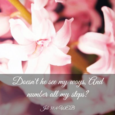 Picture 03 - Job 31:4 WEB - Doesn't he see my ways, And number all my - Bible Verse Picture