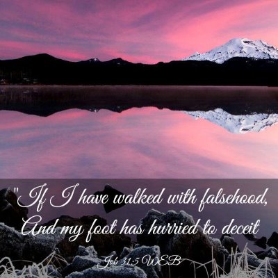 Picture 03 - Job 31:5 WEB - 