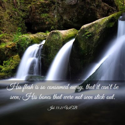 Picture 03 - Job 33:21 WEB - His flesh is so consumed away, that it can't be - Bible Verse Picture