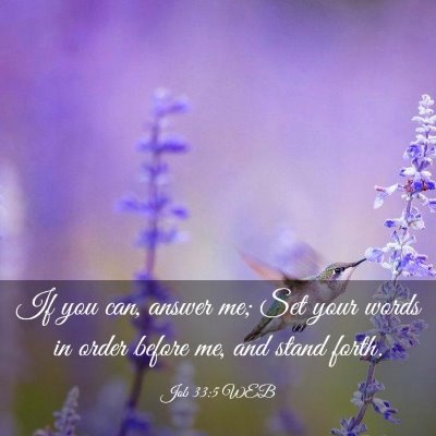 Picture 03 - Job 33:5 WEB - If you can, answer me; Set your words in order - Bible Verse Picture