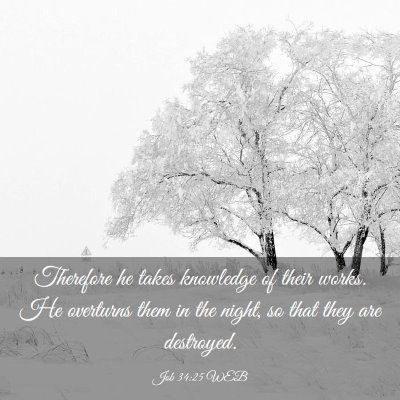 Picture 03 - Job 34:25 WEB - Therefore he takes knowledge of their works. He - Bible Verse Picture