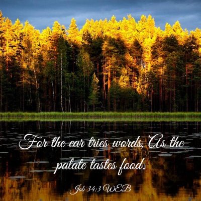 Picture 03 - Job 34:3 WEB - For the ear tries words, As the palate tastes - Bible Verse Picture