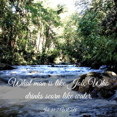 Picture 03 - Job 34:7 WEB - What man is like Job, Who drinks scorn like - Bible Verse Picture