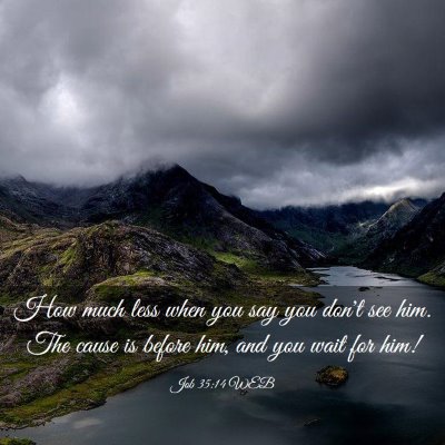 Picture 03 - Job 35:14 WEB - How much less when you say you don't see him. The - Bible Verse Picture