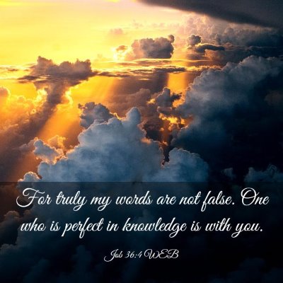 Picture 03 - Job 36:4 WEB - For truly my words are not false. One who is - Bible Verse Picture