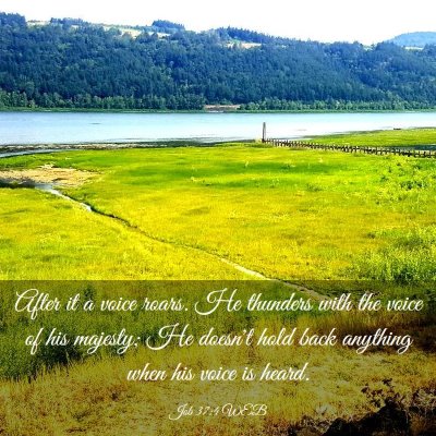 Picture 03 - Job 37:4 WEB - After it a voice roars. He thunders with the - Bible Verse Picture